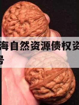 南海自然资源债权资产1号