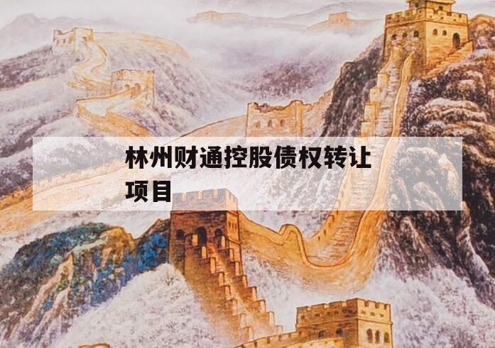 林州财通控股债权转让项目