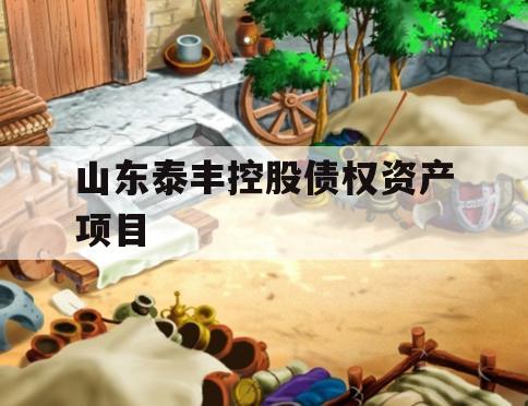 山东泰丰控股债权资产项目