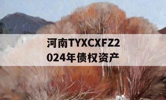 河南TYXCXFZ2024年债权资产