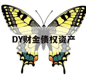 DY财金债权资产