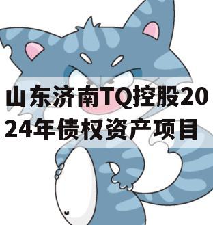 山东济南TQ控股2024年债权资产项目