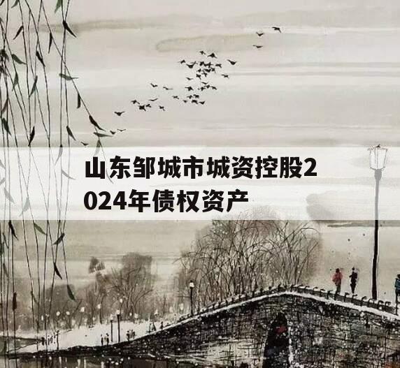 山东邹城市城资控股2024年债权资产