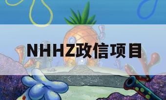 NHHZ政信项目