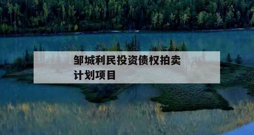 邹城利民投资债权拍卖计划项目