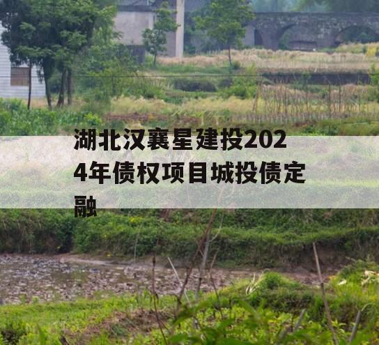 湖北汉襄星建投2024年债权项目城投债定融