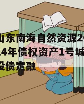 山东南海自然资源2024年债权资产1号城投债定融