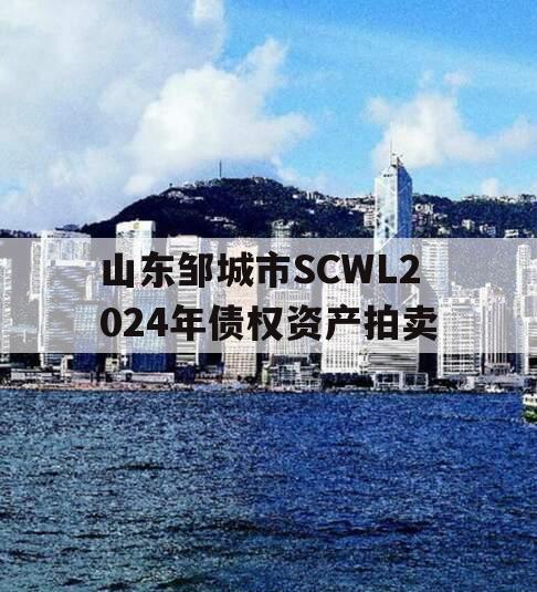 山东邹城市SCWL2024年债权资产拍卖