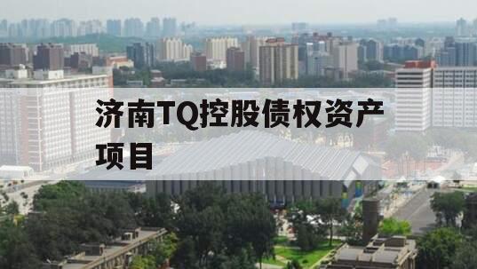 济南TQ控股债权资产项目