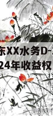 山东XX水务D-1号2024年收益权