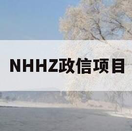 NHHZ政信项目