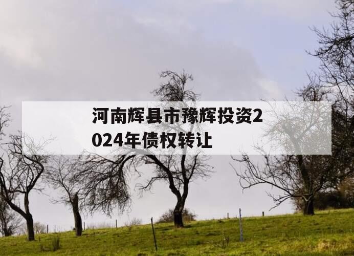 河南辉县市豫辉投资2024年债权转让