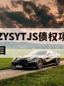 ZYSYTJS债权项目