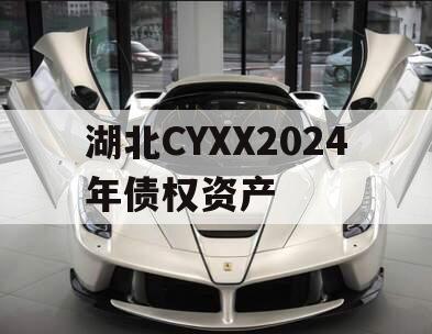 湖北CYXX2024年债权资产