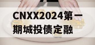 CNXX2024第一期城投债定融