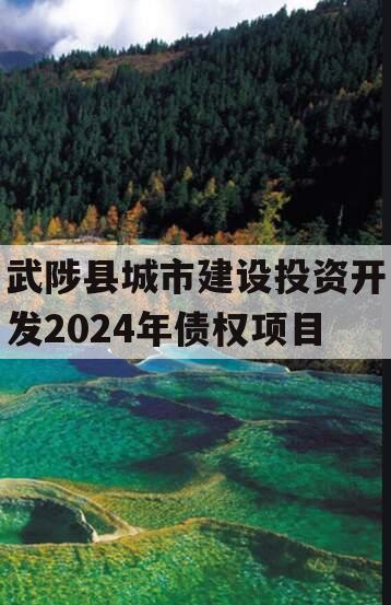 武陟县城市建设投资开发2024年债权项目