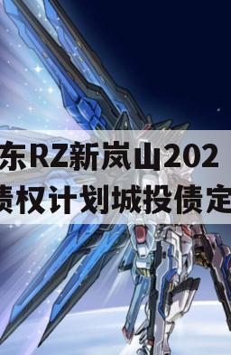 山东RZ新岚山2024债权计划城投债定融
