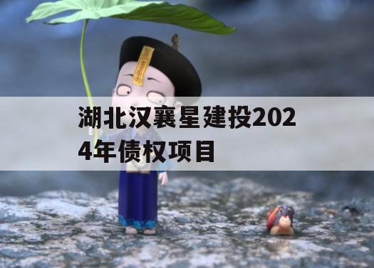湖北汉襄星建投2024年债权项目