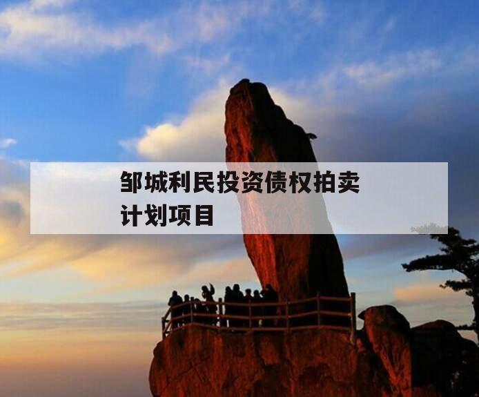 邹城利民投资债权拍卖计划项目