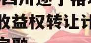 2024四川遂宁裕城资产收益权转让计划城投债定融