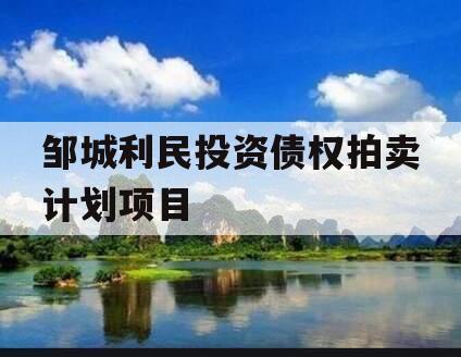 邹城利民投资债权拍卖计划项目