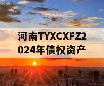 河南TYXCXFZ2024年债权资产