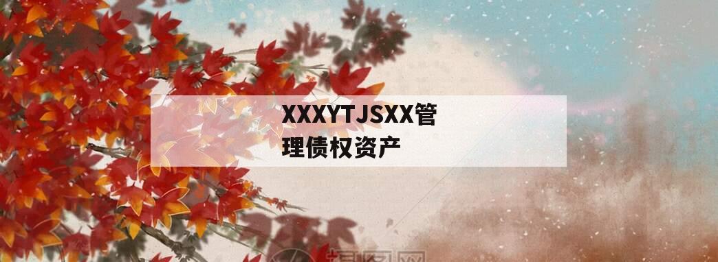 XXXYTJSXX管理债权资产