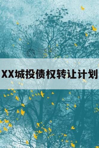 XX城投债权转让计划