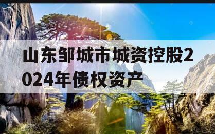 山东邹城市城资控股2024年债权资产