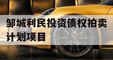 邹城利民投资债权拍卖计划项目