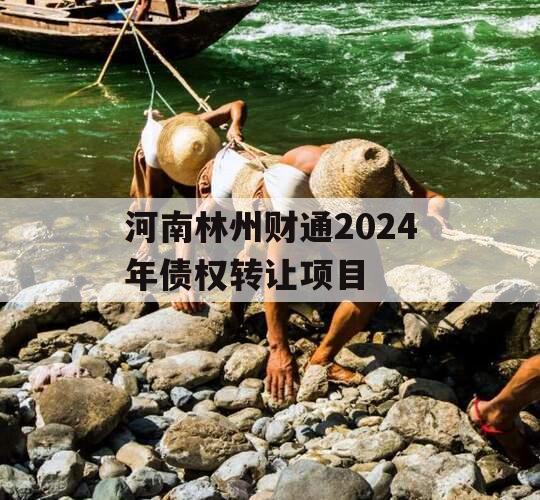 河南林州财通2024年债权转让项目