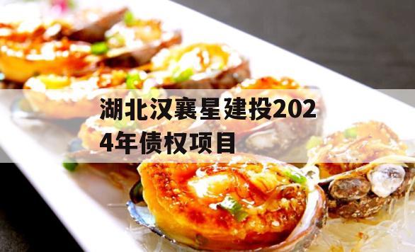 湖北汉襄星建投2024年债权项目