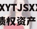 XXXYTJSXX管理债权资产