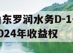 山东罗润水务D-1号2024年收益权