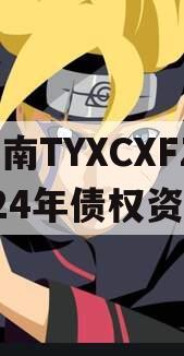 河南TYXCXFZ2024年债权资产