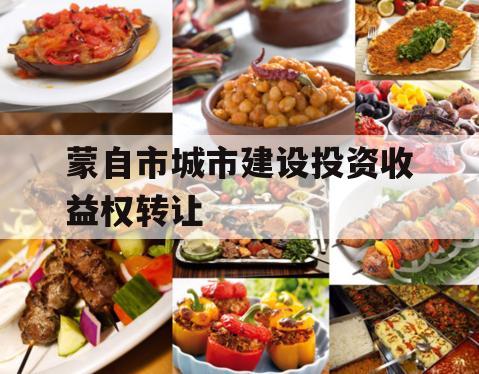 蒙自市城市建设投资收益权转让