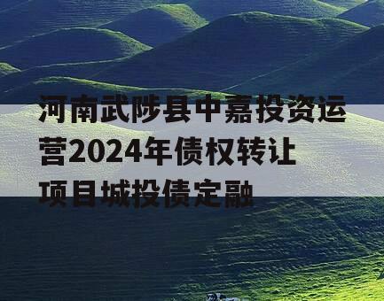 河南武陟县中嘉投资运营2024年债权转让项目城投债定融