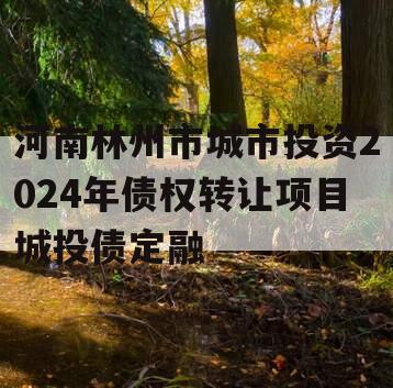 河南林州市城市投资2024年债权转让项目城投债定融