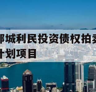 邹城利民投资债权拍卖计划项目