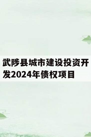 武陟县城市建设投资开发2024年债权项目