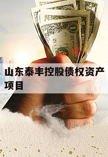 山东泰丰控股债权资产项目