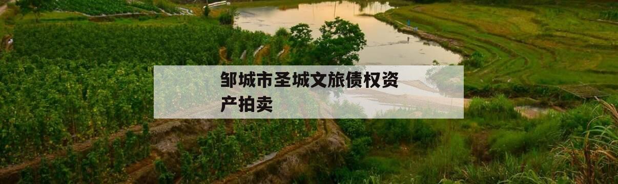 邹城市圣城文旅债权资产拍卖