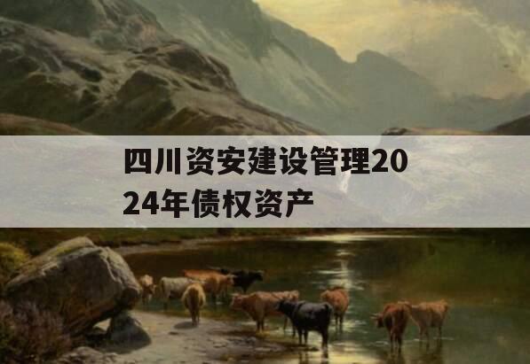 四川资安建设管理2024年债权资产