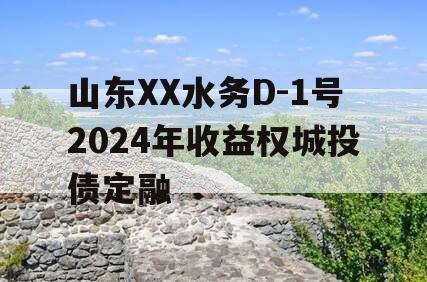 山东XX水务D-1号2024年收益权城投债定融