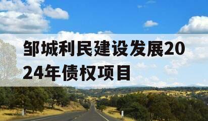 邹城利民建设发展2024年债权项目