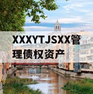 XXXYTJSXX管理债权资产
