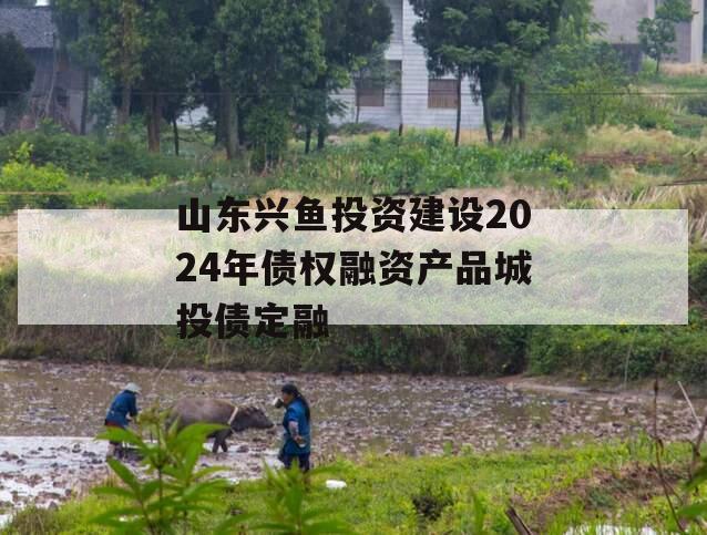 山东兴鱼投资建设2024年债权融资产品城投债定融