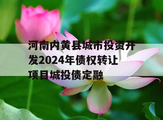 河南内黄县城市投资开发2024年债权转让项目城投债定融
