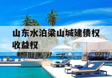 山东水泊梁山城建债权收益权