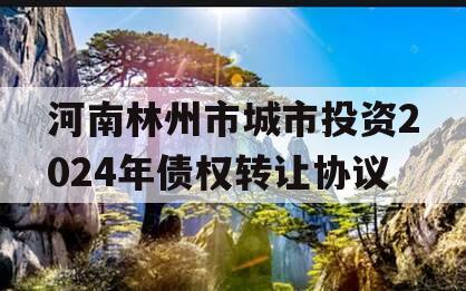河南林州市城市投资2024年债权转让协议